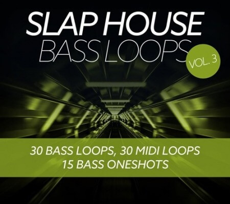 Baltic Audio Slap House Bass Loops Vol.3 WAV MiDi